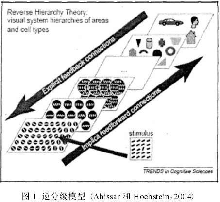 逆分級模型