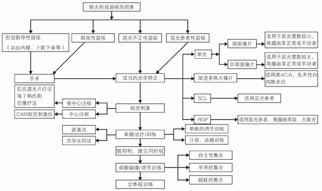 弱視矯正方案