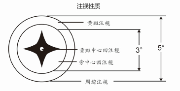 注視性質檢查