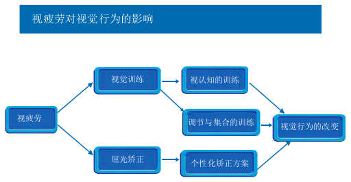 視疲勞對視覺行為的影響